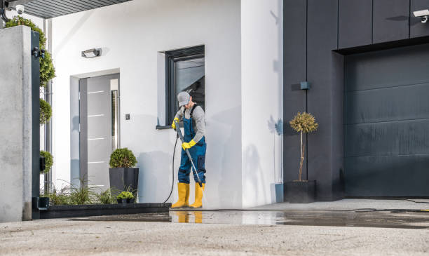 Best Gutter Cleaning  in Inverness Highlands North, FL